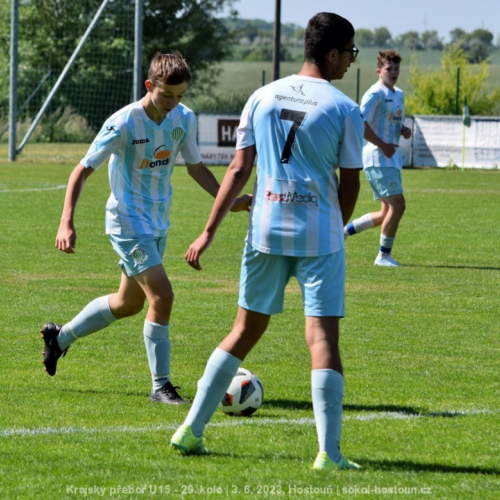 sh-vyzlovka (14).jpg
