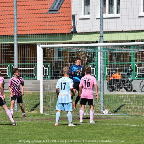 sh-vyzlovka (18).jpg