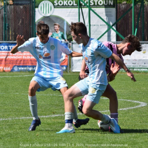 sh-vyzlovka (32).jpg