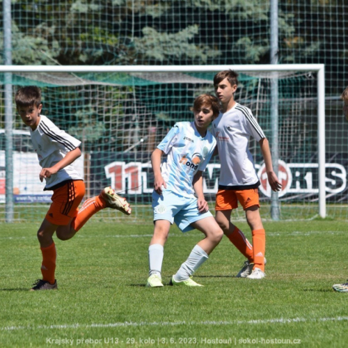 sh-vyzlovka (21).jpg