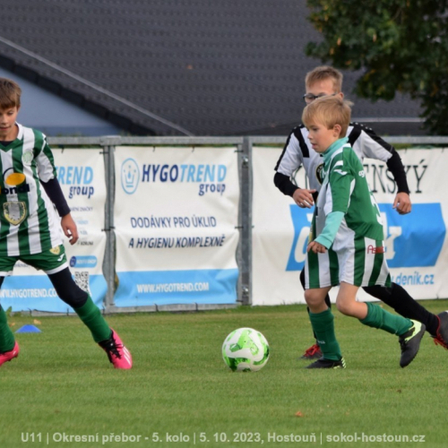 sg-bustehrad (7).jpg