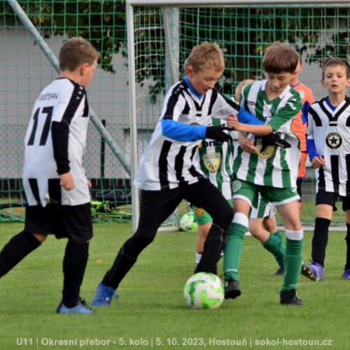 sg-bustehrad (11).jpg