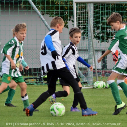 sg-bustehrad (10).jpg