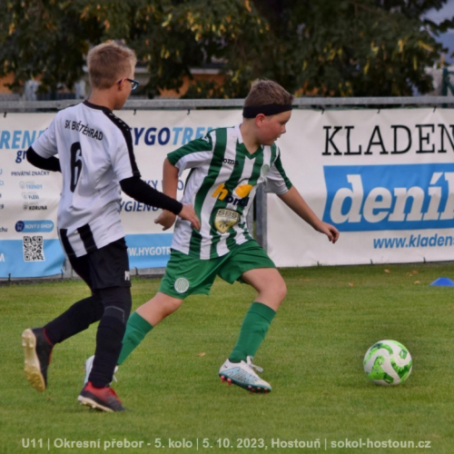 sg-bustehrad (17).jpg