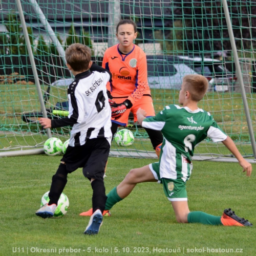 sg-bustehrad (31).jpg