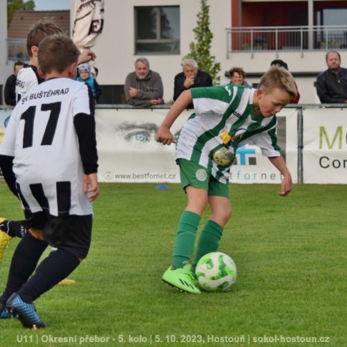 sg-bustehrad (37).jpg
