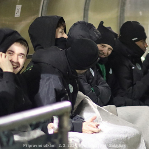 sh-velvary_ps (17).jpg