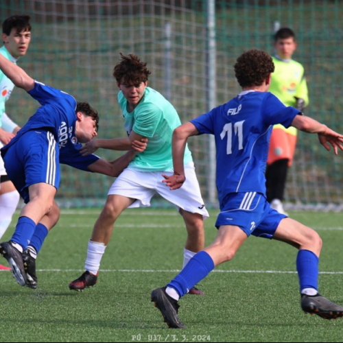 shbs-faaz_bk (16).jpg