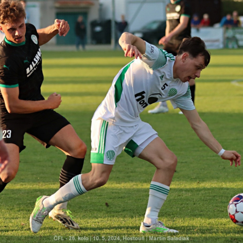 sh-bohemians_ms (100).jpg