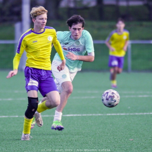 sh-rakovnicko (28).jpg