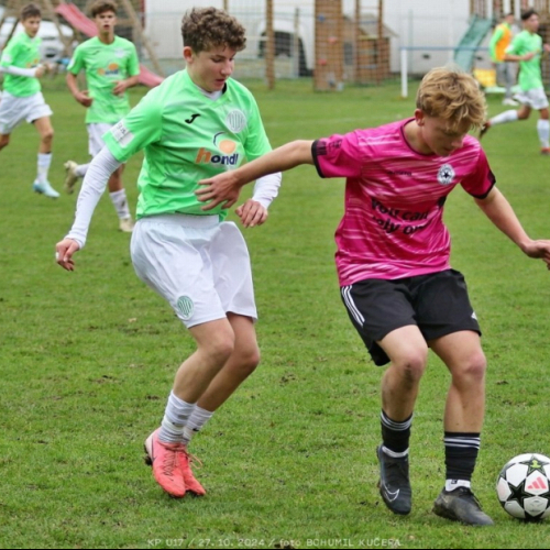 vyzlovka-sh_bk (28).jpg