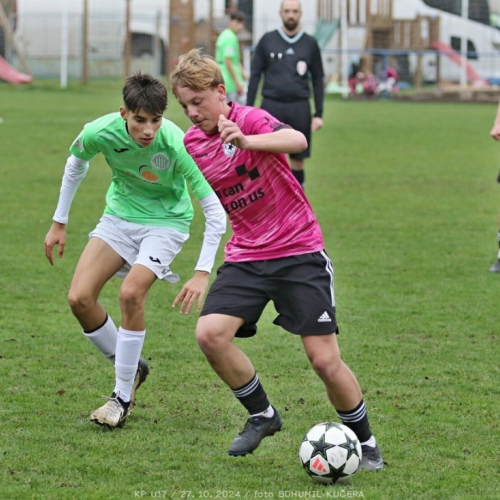 vyzlovka-sh_bk (39).jpg