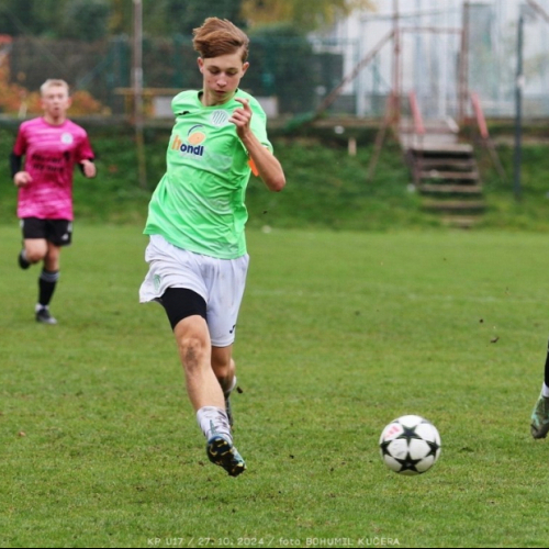 vyzlovka-sh_bk (87).jpg