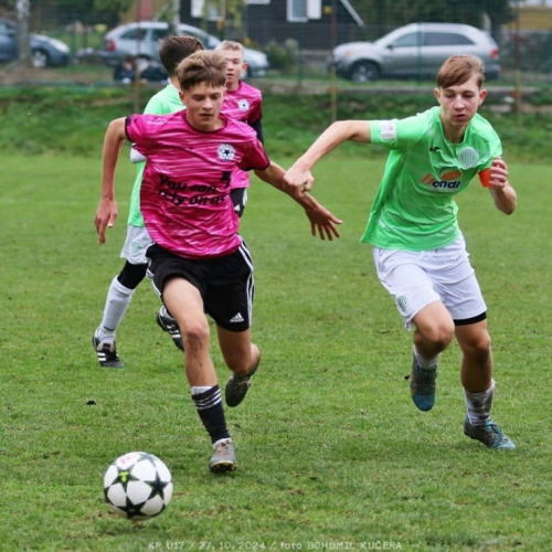 vyzlovka-sh_bk (97).jpg
