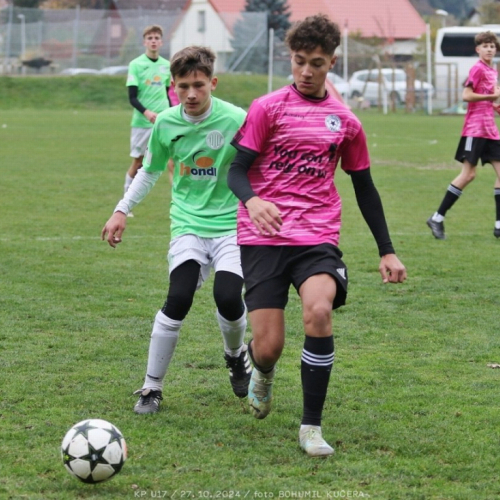 vyzlovka-sh_bk (102).jpg