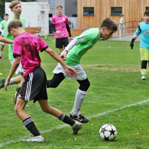 vyzlovka-sh_bk (111).jpg