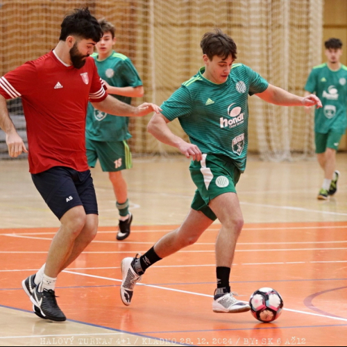 halovy turnaj 6-12 (129).jpg