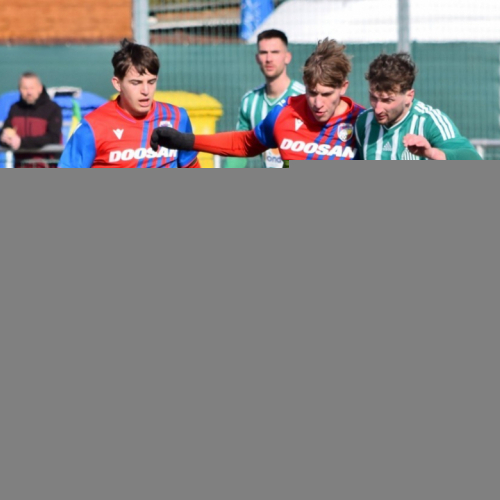 fcvp19-sh (109).jpg