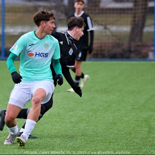 braník-sh19 (10).jpg