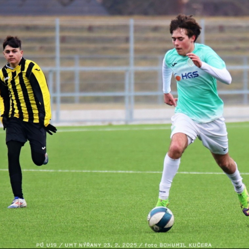 nyrany-sh19 (75).jpg