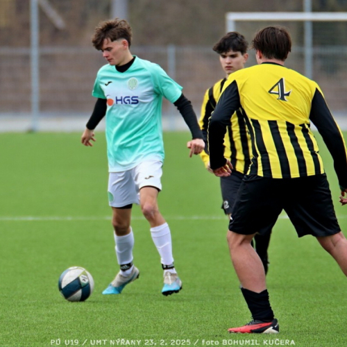 nyrany-sh19 (95).jpg