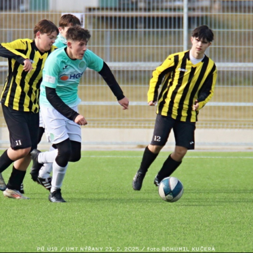 nyrany-sh19 (123).jpg