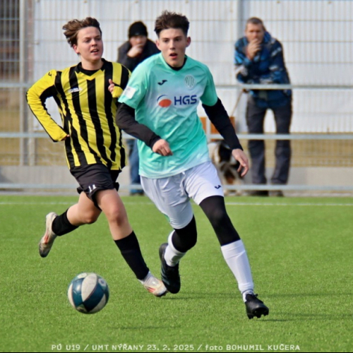 nyrany-sh19 (125).jpg