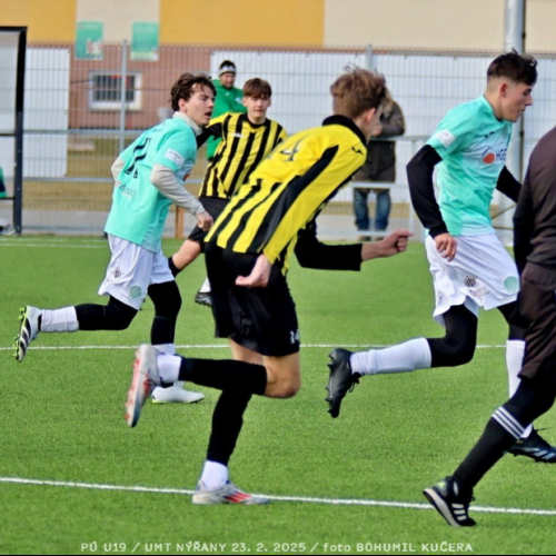 nyrany-sh19 (135).jpg
