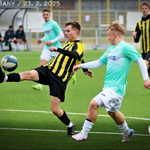 nyrany-sh19 (139).jpg