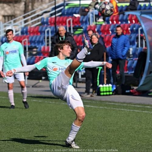 podebrady-sh (14).jpg