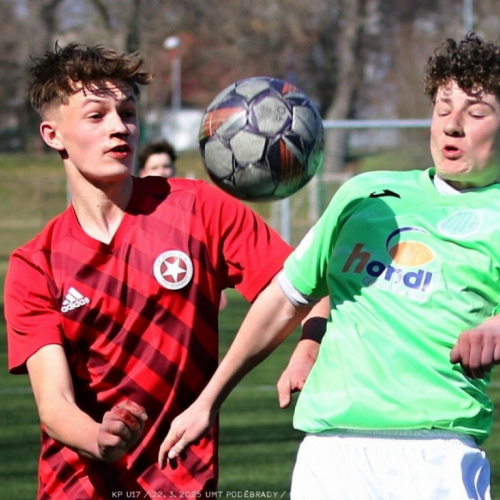 podebrady-sh (8).jpg