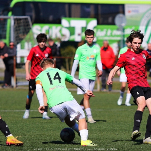 podebrady-sh (14).jpg