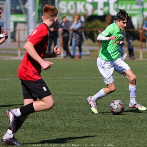 podebrady-sh (22).jpg