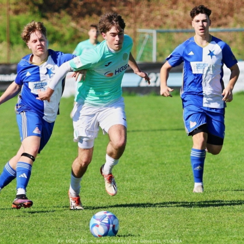 psary-sh19_bk (3).jpg