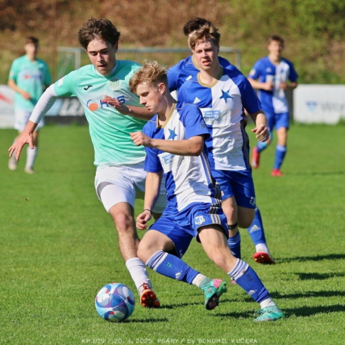 psary-sh19_bk (6).jpg