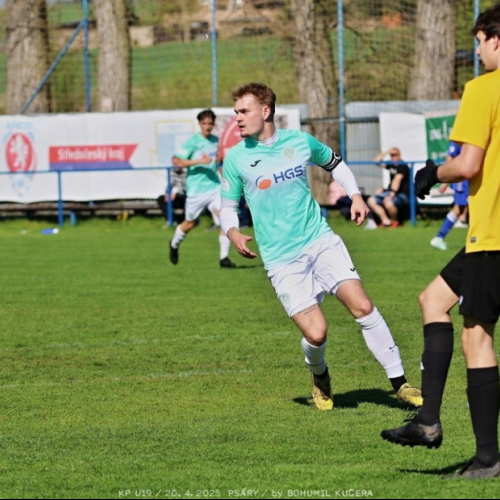 psary-sh19_bk (8).jpg