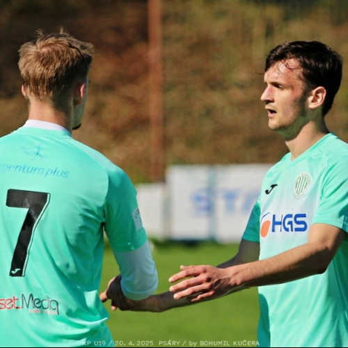 psary-sh19_bk (9).jpg