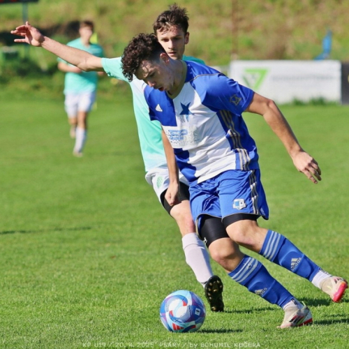 psary-sh19_bk (7).jpg