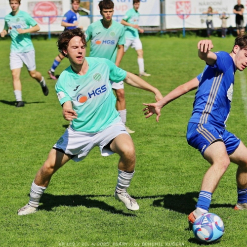 psary-sh19_bk (24).jpg