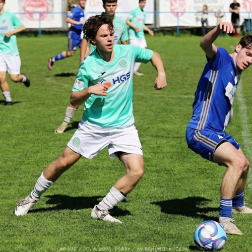 psary-sh19_bk (25).jpg