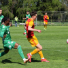 dukla-sh (30).jpg