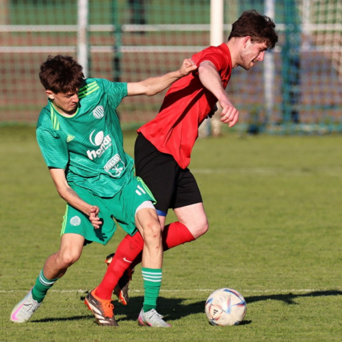 sh-žižice_bk (15).jpg