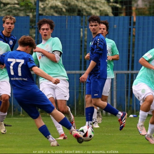 c.brod-sh (18).jpg
