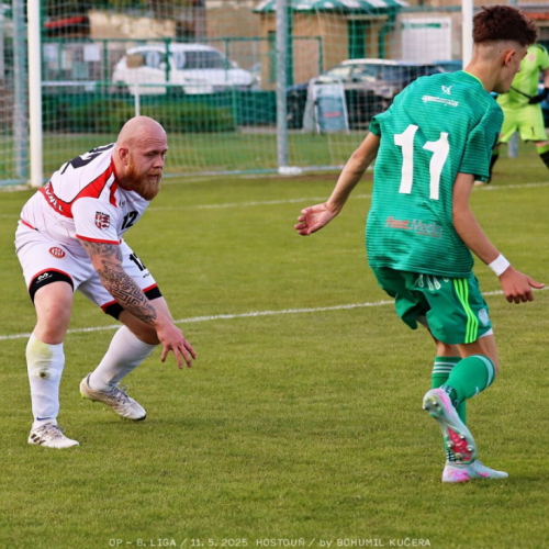 sh-olovnice (11).jpg