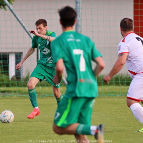 sh-olovnice (10).jpg