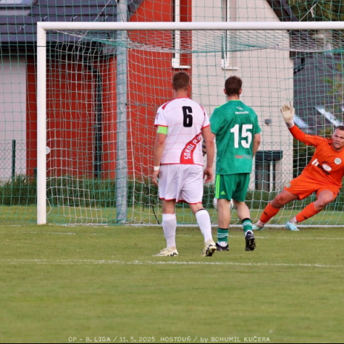 sh-olovnice (12).jpg