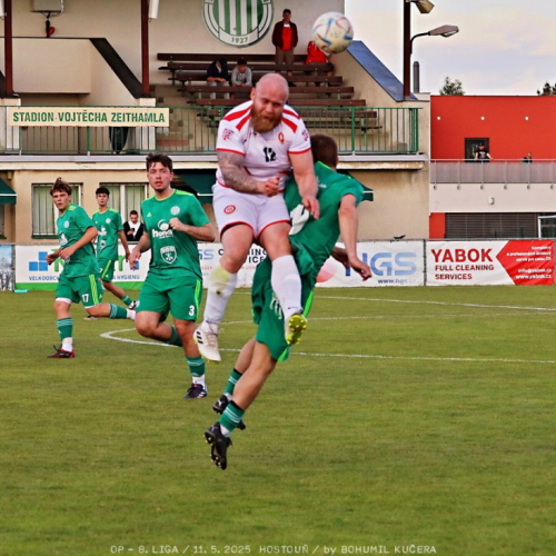 sh-olovnice (16).jpg