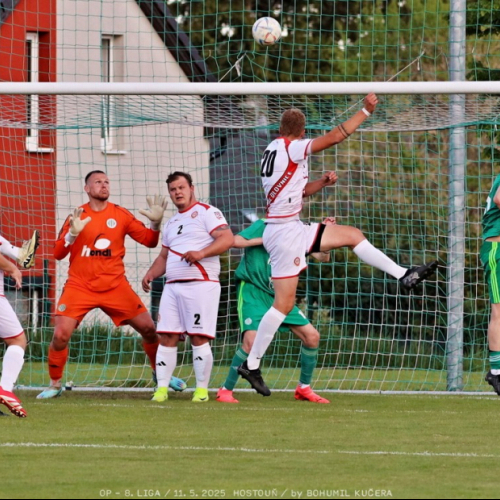 sh-olovnice (14).jpg