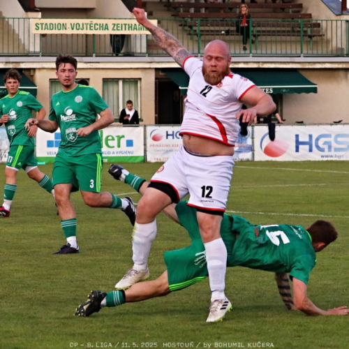 sh-olovnice (17).jpg