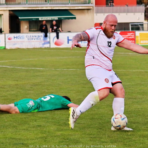 sh-olovnice (18).jpg